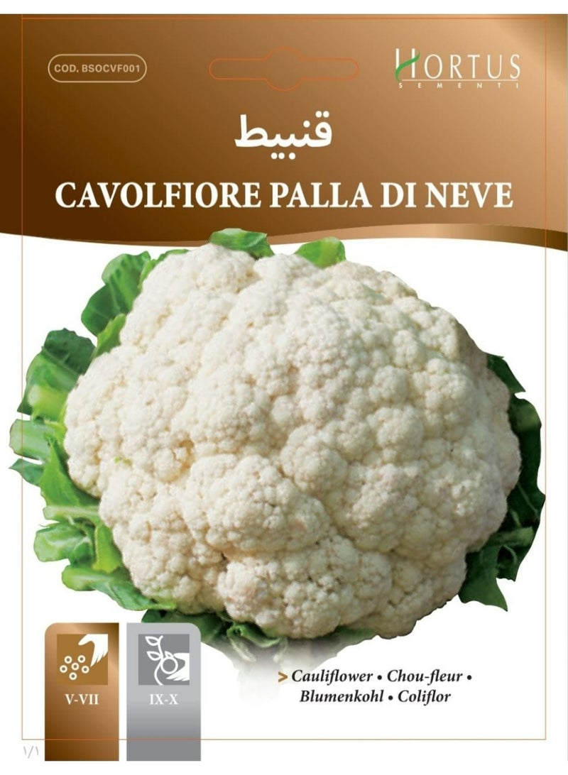 White Cauliflower Seeds